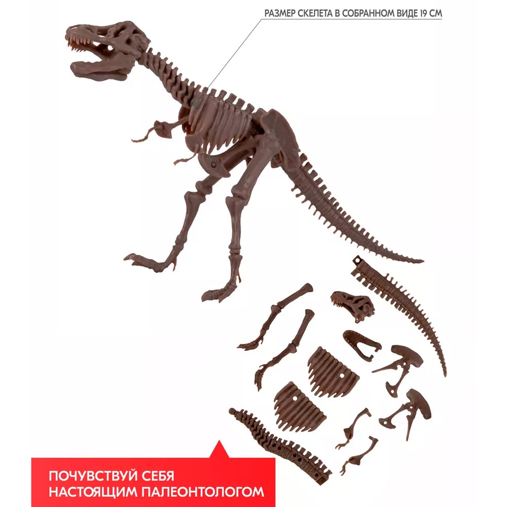 Набор 4M Скелет Тираннозавра 00-03221. Фото 2