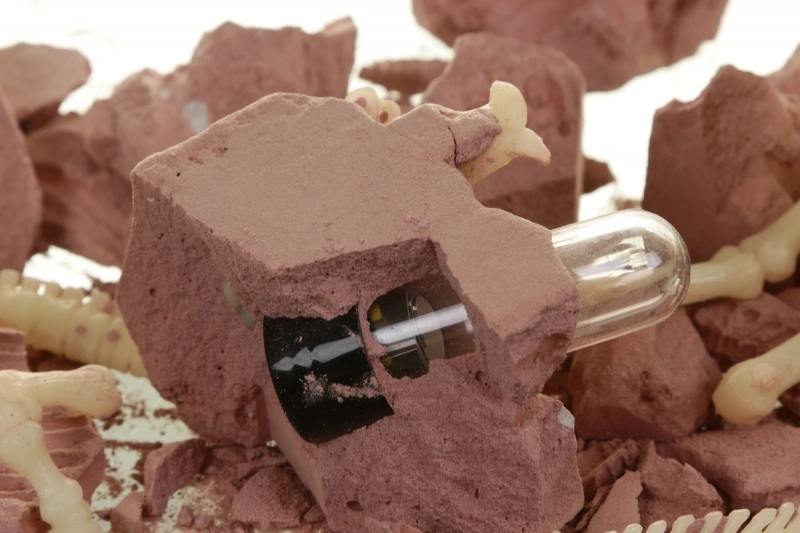 Набор 4M Оживи динозавра. ДНК Стегозавра (00-07004). Фото 3