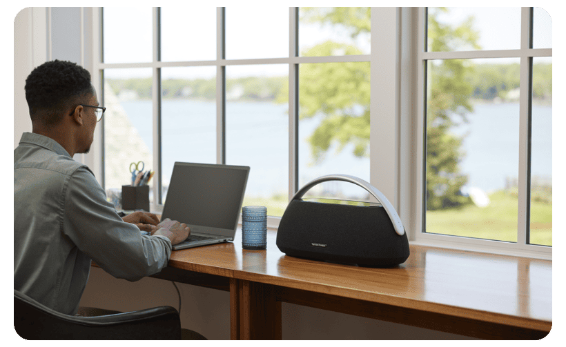 Harman-Kardon-Go-Play-02
