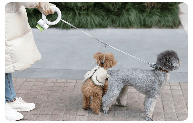 Moestar-Ufo-Retractable-Leash-2-Plus-02